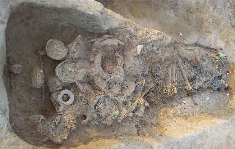 Archeologia. Straordinario ritrovamento di un antico guerriero Piceno a Sirolo (AN)